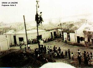 Oran- SDV- 0924